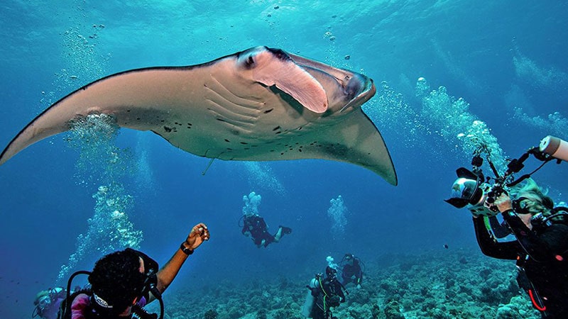 Maldives attractions and eertainme