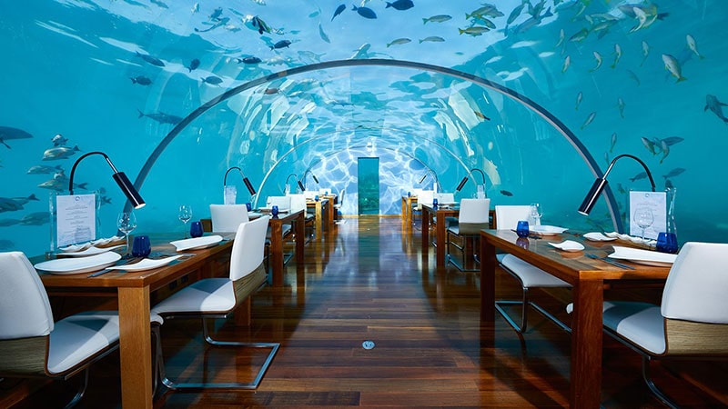 Restauras on a trip to the Maldives