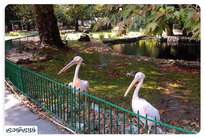 Varna Zoo 