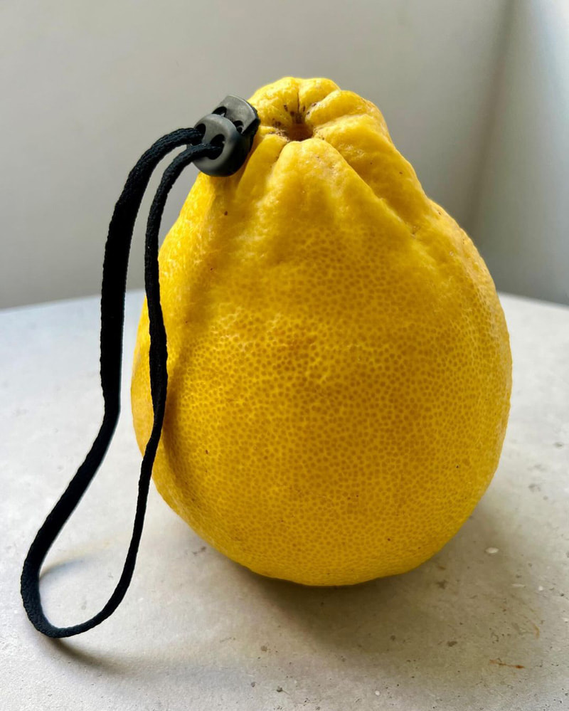Combination photo of pumpkin and bag strap