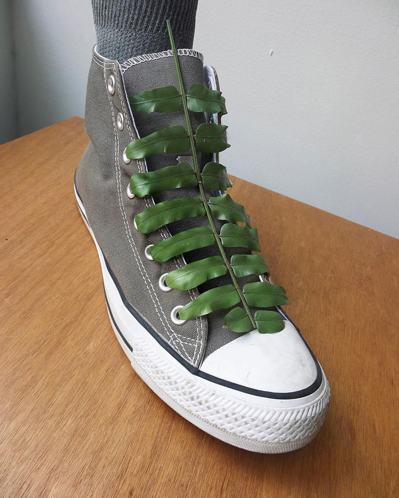 Combined photo of shoe and pla stem