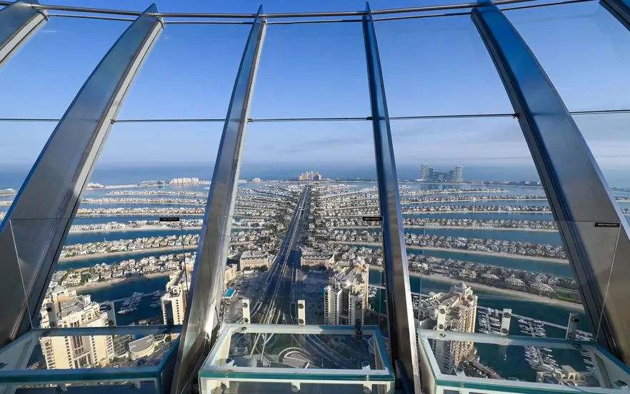 Palm View
