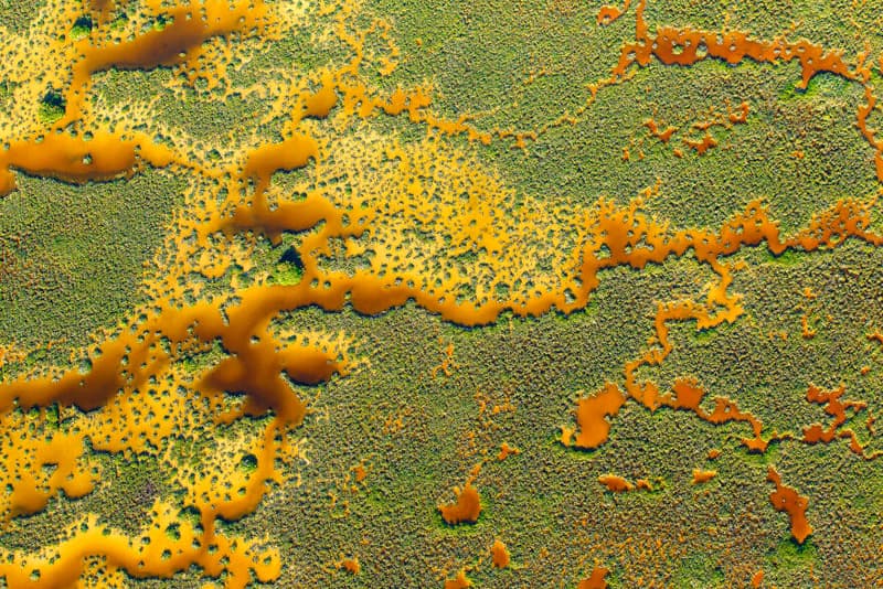 Aerial photo of mangrove forests in the Yucatan Peninsula, Mexico
