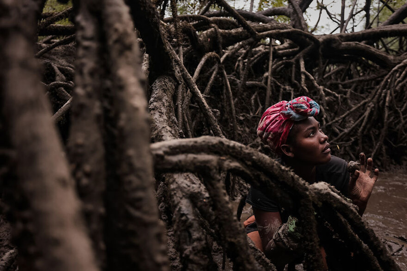 Natives in the middle of the Colombian mangrove forest