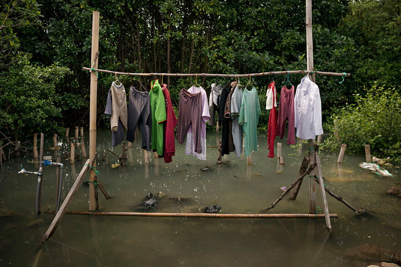 Coexistence of man and nature in mangrove forests of Indonesia