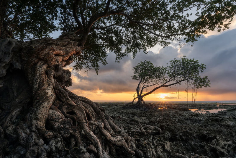 Sunset in the Andaman Islands located in the Indian Ocean