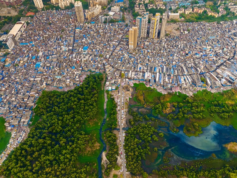 Mangrove clearing with urban developme in India