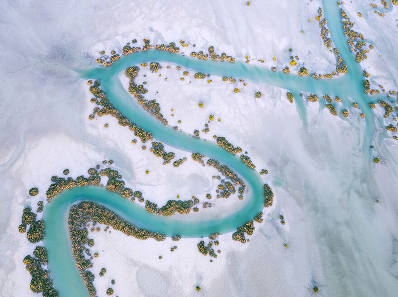Aerial photo of mangrove forests in Al Dhafra area, Abu Dhabi, <a href=