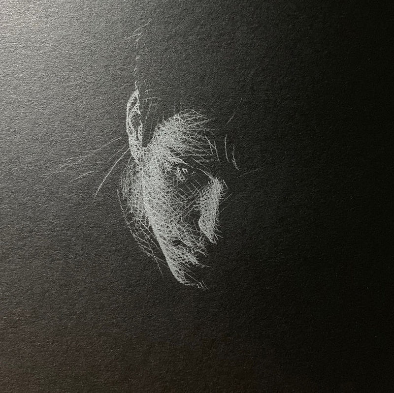 A drawing of a young man's face with a white pencil