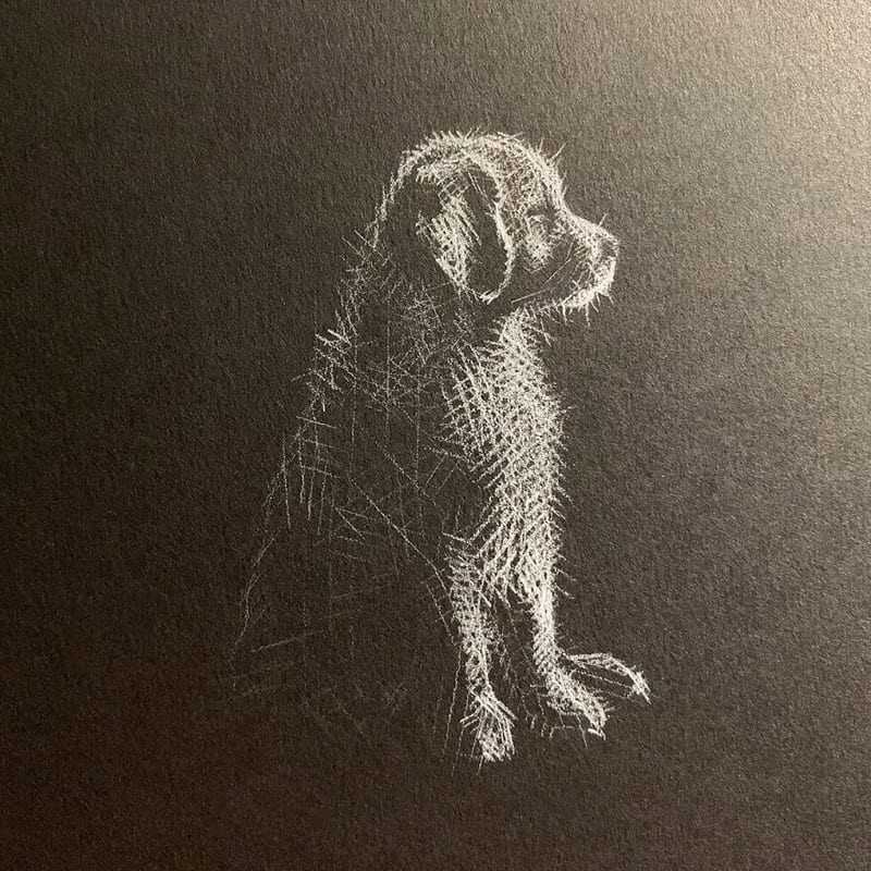 Drawing of a dog with white pencil
