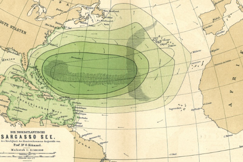 Saragossa Sea