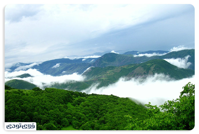 Arsbaran forests