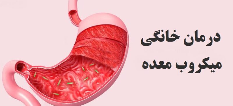 Definite stomach microbe home treatment