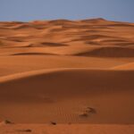 Dubai desert