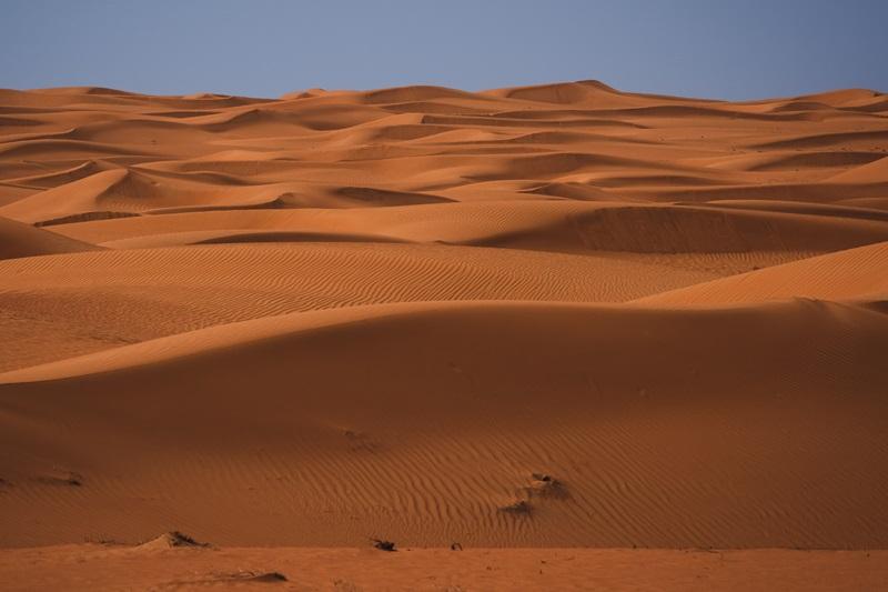 Dubai desert