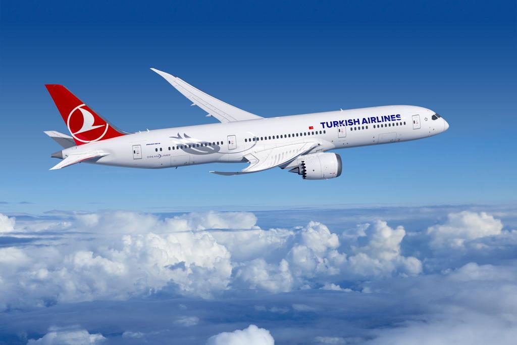 C:UsersmeysamDesktopSafarmarktplaneturkish_airline.jpg