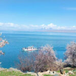 One's popularity among Iranians