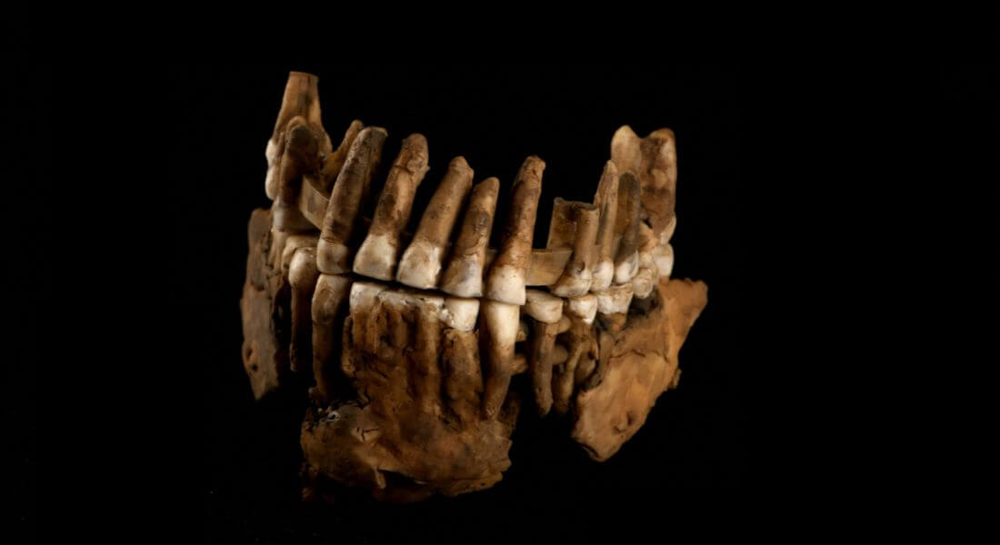 Researchers consider isolation as the reason for the destruction of Neanderthals