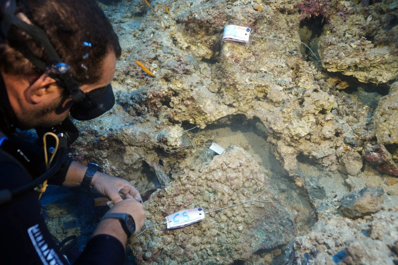 The discovery of a 3,600-year-old dagger in Türkiye