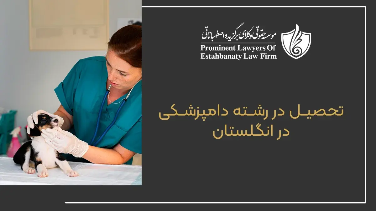 Studying in the field of veterinary medicine in England
