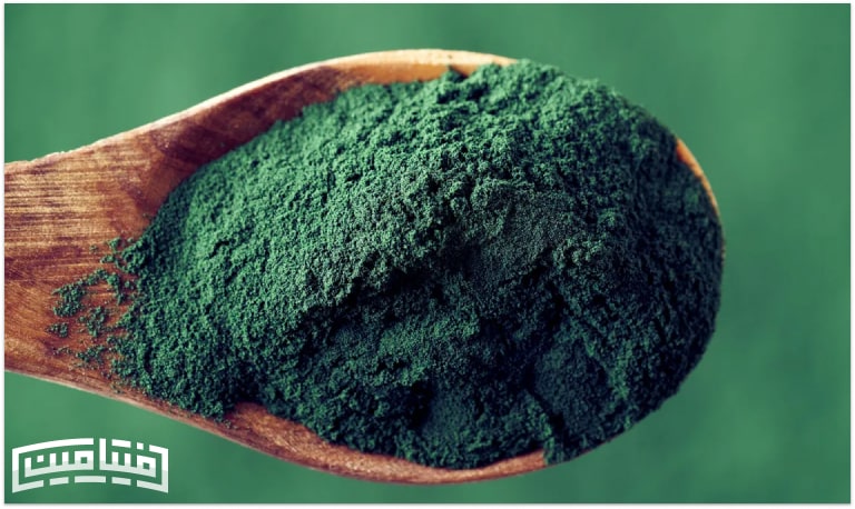Spirulina algae powder