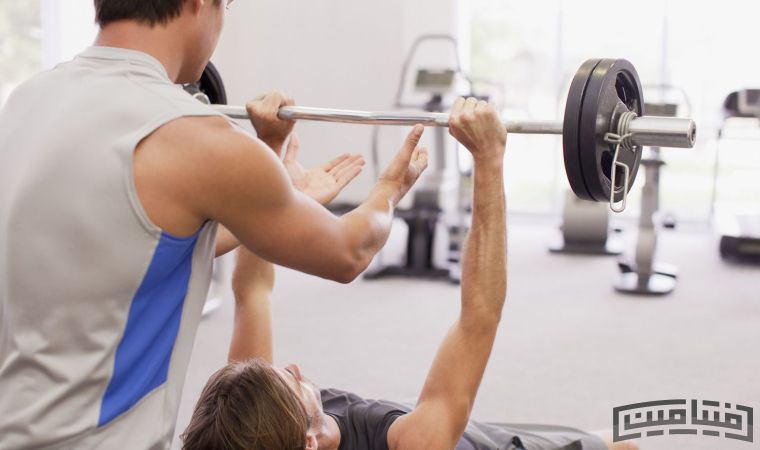 Barbell or dumbbell chest press
