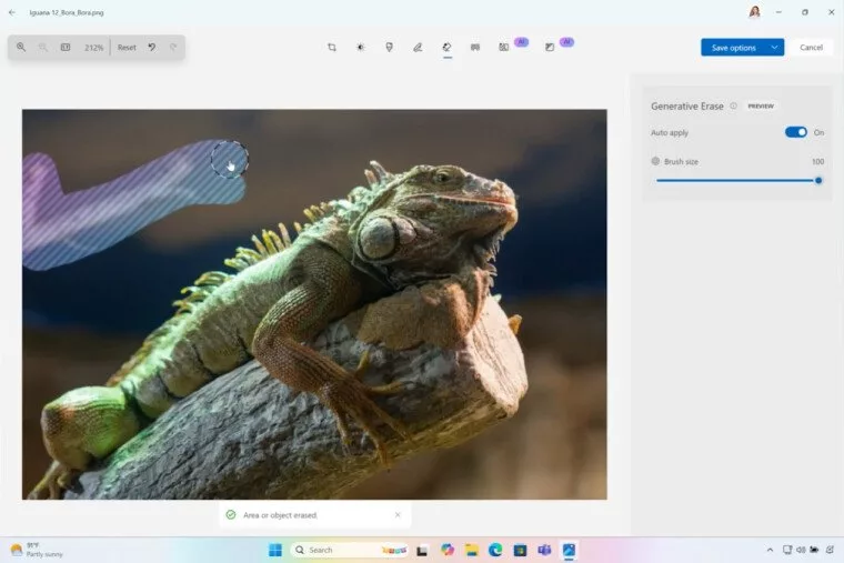Artificial ielligence ability to remove subjects from Pai in Windows 11