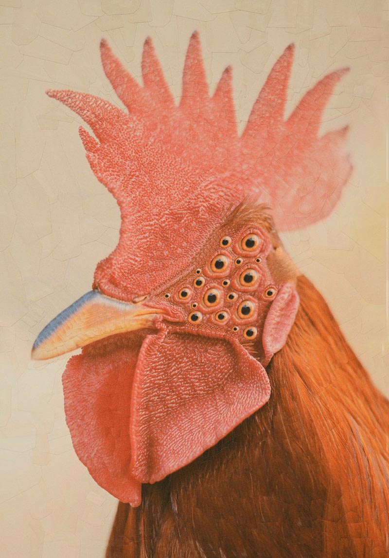 Rooster made by Lola Dupere