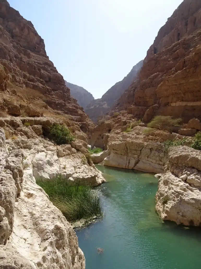 Must-see places in Muscat; Desert emerald paradise 11 Sights of Muscat