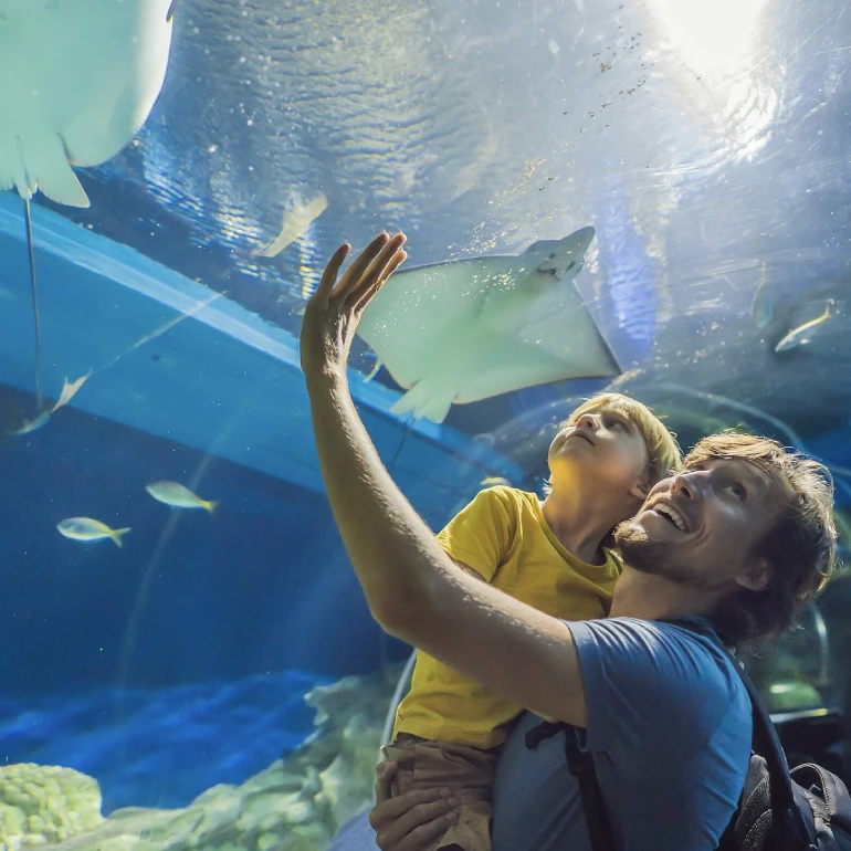 Must-see places in Muscat; Desert emerald paradise 55 Oman Aquarium