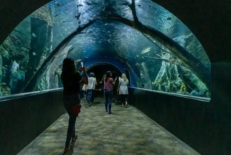 Must-see places in Muscat; Desert emerald paradise 56 Must-see places in Muscat