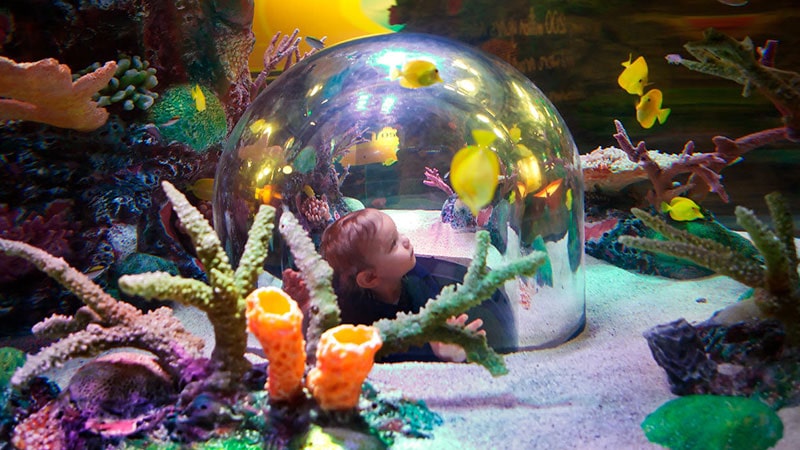 Sea life aquarium Istanbul eertainme for children