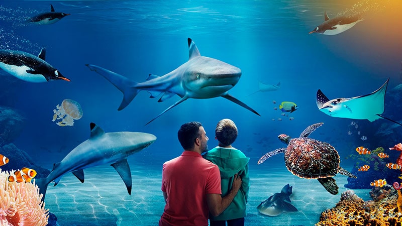 Sea life aquarium Istanbul eertainme for children