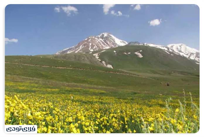 Houshang Maidani, valuable wildlife habitats