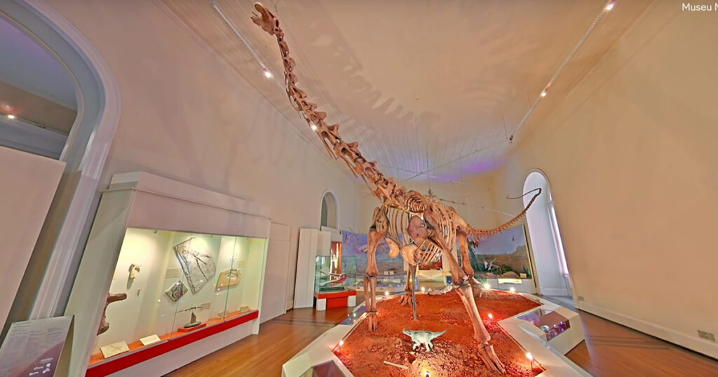 A picture of the ierior of the National Museum of Brazil 
