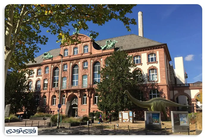 Senkenberg Museum of Natural History, one of the best museums in Frankfurt