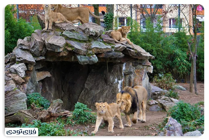 Frankfurt Zoo is one of the best sightseeing and eertainme places in Frankfurt