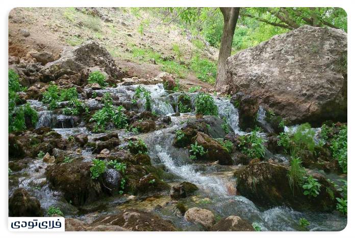 Miran spring and Bailei garden in Javanroud