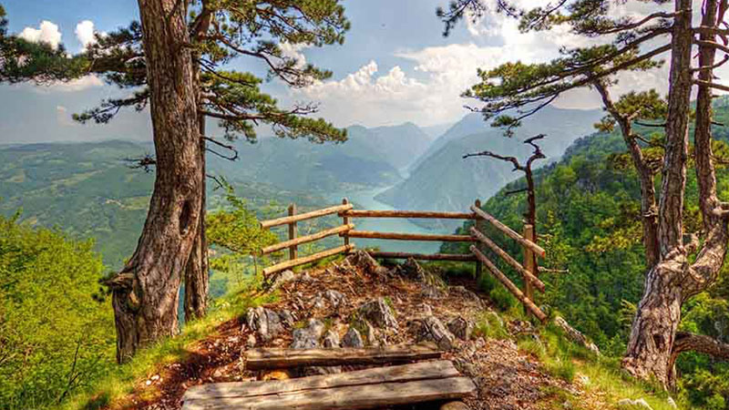 Tara National Park