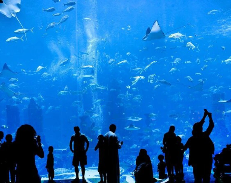 Palm Jumeirah Dubai