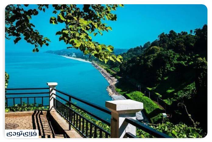 Tips for visiting Batumi Botanical Garden