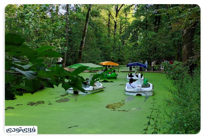 Sights around Rasht