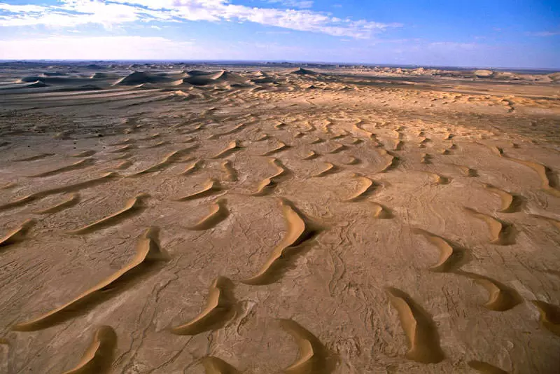 Lot desert