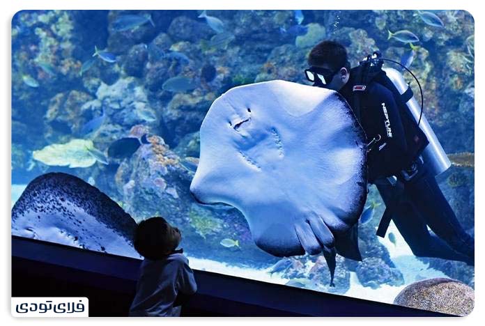 Istanbul Aquarium From the ticket price to the visit time Differe parts of Istanbul Floria Aquarium