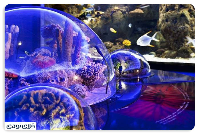 Istanbul Aquarium From the ticket price to the visit time How much is the Istanbul Aquarium ticket price?