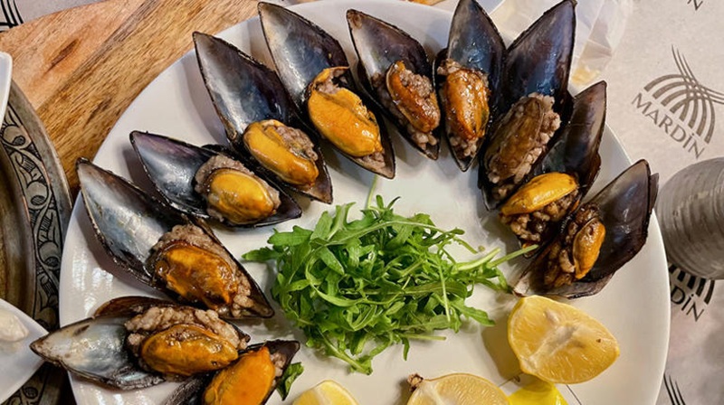 Midea Dolma
