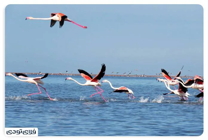 Caspian Sea Get to know the largest lake in the world Gamishan jpg