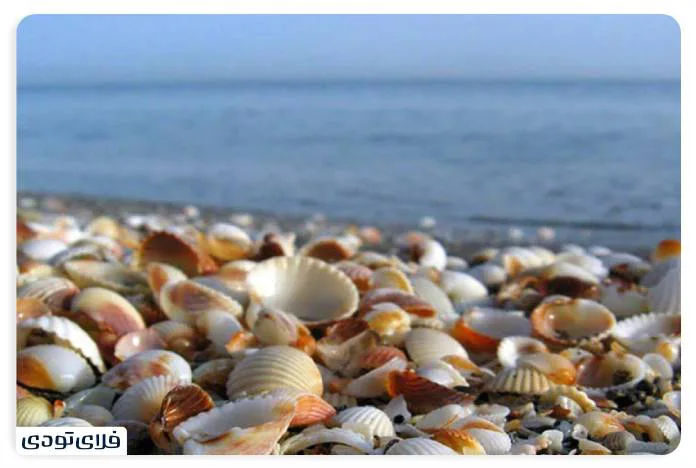 Caspian Sea Get to know the largest lake in the world The shores of the Caspian Sea