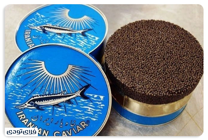 Caspian Sea Get to know the largest lake in the world Iranian caviar