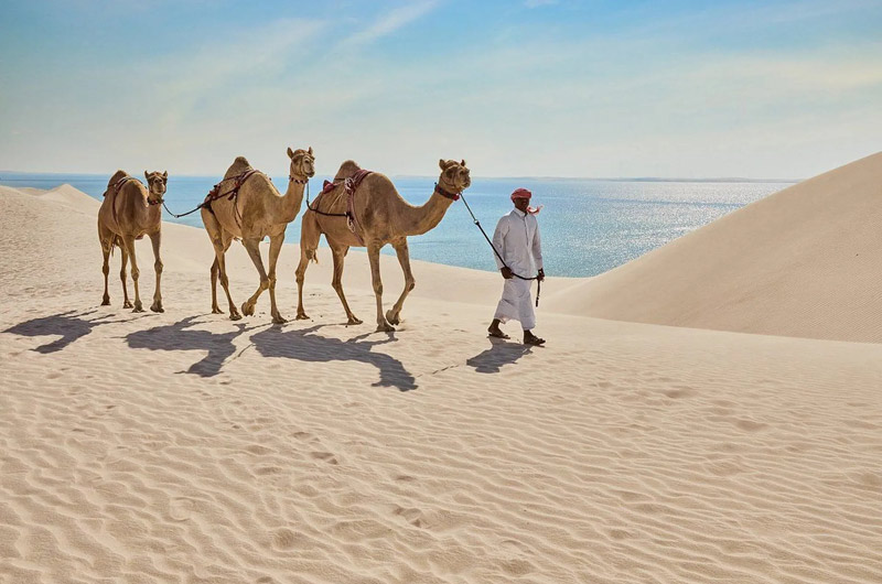 Arab man and camels on the singing sand dunes of Qatar; Photo Source: Rehlat, Photographer: Unknown
